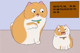 猫的吃相，和猫妈妈的影响有关，猫已有的习惯不易改图片