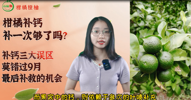 鍥炶鍙戠幇寰堝鏋滃洯琛ラ挋瀹屽叏娌℃湁琛ュ锛佽ˉ閽欎笁澶ц鍖猴紝浣犺俯涓簡鍚楋紵