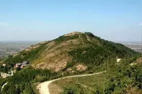 来山东这些国家级自然保护区领略自然之美图片