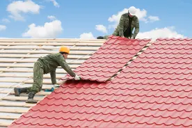 农村建房很多人选用树脂瓦，它有哪些致命缺陷？该不该大力推广？图片