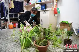 还不返校，宿管阿姨最近都在干什么？图片