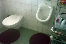 为何德国人家里除了安马桶还安小便池？看完后发觉这些细节太贴心图片