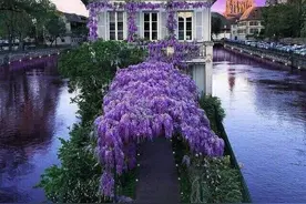 法国斯特拉斯堡，像童话故事里的仙境图片