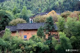 农村老人说“房后有靠财源滚，宅有五虚人贫耗”，太有道理了图片