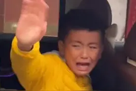 河南男孩假期结束不舍与爷爷奶奶分别哭成泪人，扔钱那一刻破防了图片
