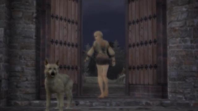 经典怀旧游戏《狂城丽影》：美女被困邪恶古堡，忠犬护主逃出生天