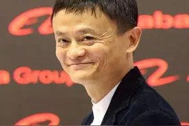 中国新“巨兽”？靠卖"废品"年入2000亿，阿里笑了，拼多多哭了图片