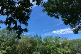 任正非是另类民族英雄图片