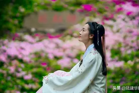 春赏杜鹃花，或许你不知道它的历史已有上千年图片