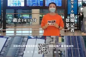 FM98.6主播说路况：桃仙机场部分航班因降雨延误图片