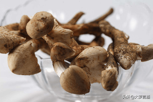 攀枝花盐边县：人人都是好吃嘴