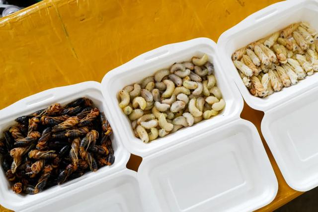 吃蘑菇起鸡皮疙瘩 吃蘑菇起鸡皮疙瘩