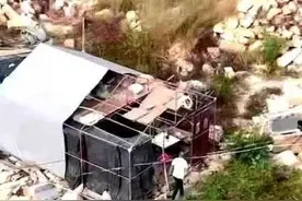 福建莆田重大刑事案件，背后原因引起热议图片