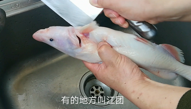 回鱼的鱼鳞怎么去掉