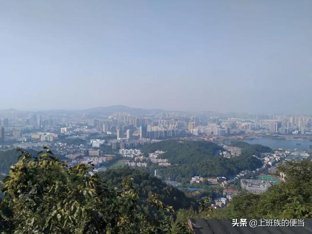 鸡汤的正确做法,教你简单三招炖出香浓鸡汤