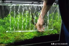 控制源头，减弱氧气泵噪音，安静生活又回来了图片