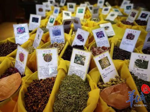 桂圆灵芝花胶排骨汤的做法与功效与作用 2025年桂圆灵芝花胶排骨汤的做