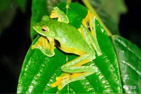 小时候的农村，再也回不去了图片