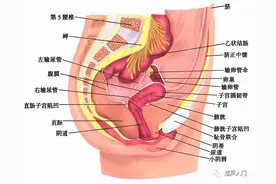 超声下如何区分宫体前后壁？图片