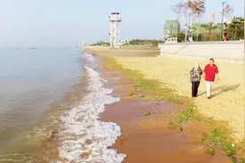 著名画家许家训视频封面