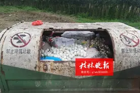 什么情况？桂林一筐筐小鸭被装进麻袋、倒进河里图片