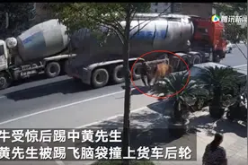 货车鸣笛牛受惊后将主人踢飞撞上车轮受伤 看法院如何认定图片