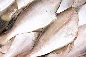 这种鱼“没脸没皮”，价格低廉，很多人看不上，懂行的人经常买图片