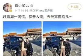 时隔将近20天，北京奔驰女碾压故宫事件到底怎么了？图片