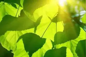 气象科普|春天每年变短30秒！图片