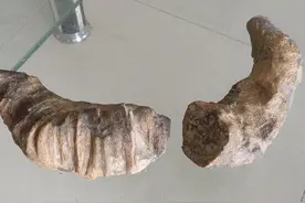 农民地里挖出一堆怪石头，清洗干净后，让人大开眼界图片