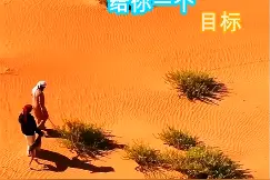 一场励志狗狗追兔子精彩视频奉上给大家！希望大家喜欢图片