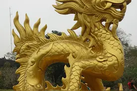 中国人需要了解的越南文化：龙是越南的北、中、南人民的共同象征图片