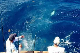 海钓新手如何选钓竿，拒绝水货干货满满，看完后你也是海钓老手图片