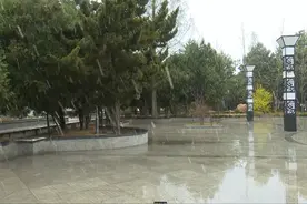洛川县再现低温霜冻天气！！！保护苹果花迫在眉睫！图片