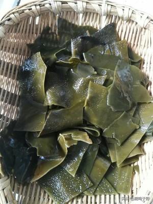 花胶炖鸭汤的做法大全 2026年花胶炖鸭汤的做法大全视频 花胶炖鸭汤的做法大全 2026年花胶炖鸭汤的做法大全视频