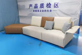 广东佛山现代极简 轻奢家具工厂图片