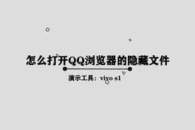 如何打开qq浏览器私密文件图片