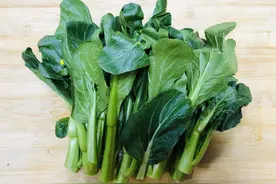 菜心的小黄花可以吃吗？答案是肯定的，但是有前提，尽量少吃为妙图片