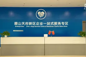 优化营商“软环境”，新区展现“硬实力”→图片