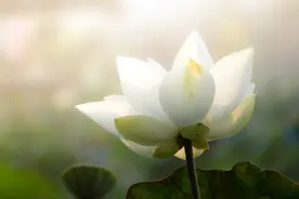 45岁前，一定要逼自己读懂《道德经》图片