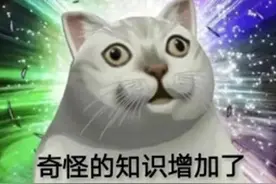 魔兽9.0玩大发了！巫妖王成工具人，喽啰原来才是真正的编剧？图片