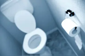 蹲便一定比坐便好？洁厕块危害身体健康？这些年你上对厕所了吗图片