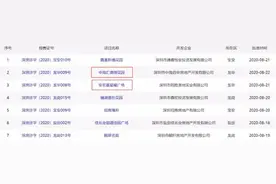 4字头打新龙华，这个新盘香在哪里？我有三个推荐理由图片
