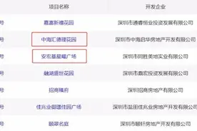 4字头打新龙华，这个新盘香在哪里？我有三个推荐理由图片