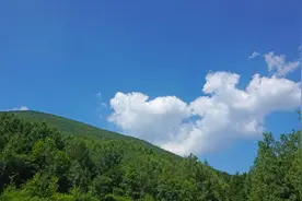 森林植被／大自然的馈赠图片