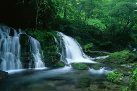 消竭贪爱修大悲念，除五欲渴乐一切智《大方广佛华严经》图片