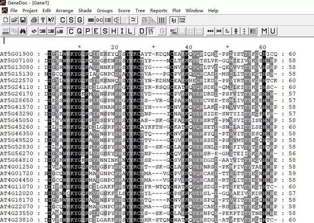 如何绘制漂亮的多重序列比对图