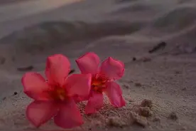 识人术：一个人说话的音量，藏着他的层次和修养图片