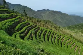 天人合一观图片