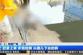 危险！小学生翻越护栏盘龙江边捞鱼图片